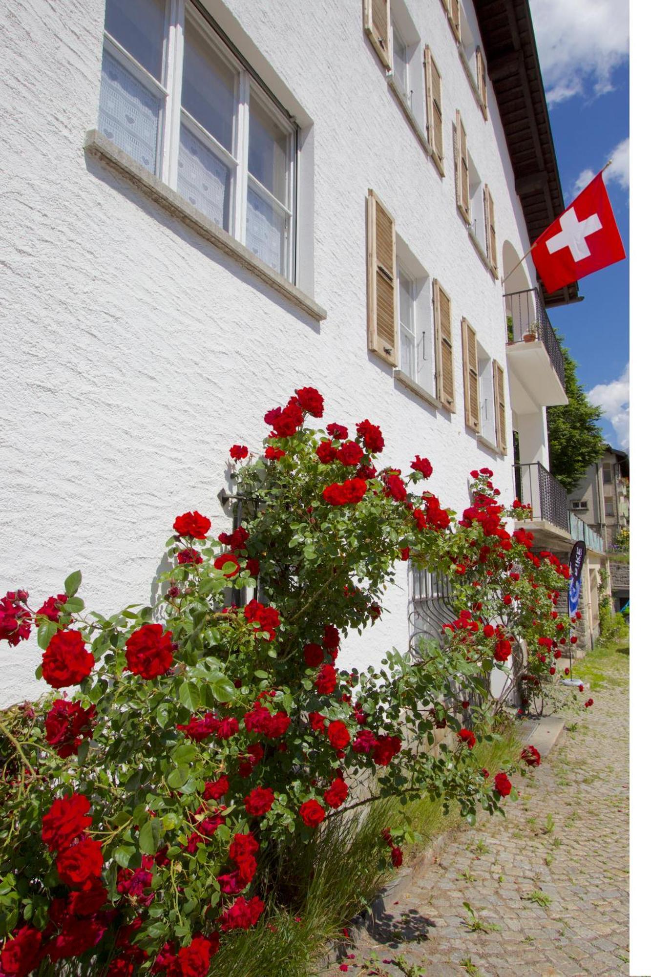 Chalet Cuore Delle Alpi 艾罗洛 外观 照片